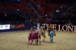 Quadrille - 00526